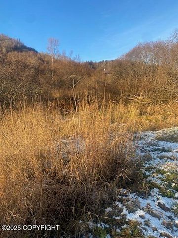 Lot 20 Shelby Kay, Homer, AK 99603