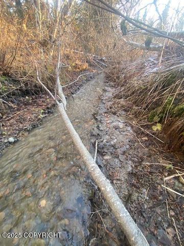 Lot 20 Shelby Kay, Homer, AK 99603