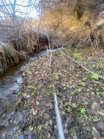 Lot 20 Shelby Kay, Homer, AK 99603