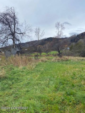 Lot 20 Shelby Kay, Homer, AK 99603