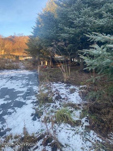 Lot 20 Shelby Kay, Homer, AK 99603