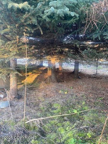 Lot 20 Shelby Kay, Homer, AK 99603