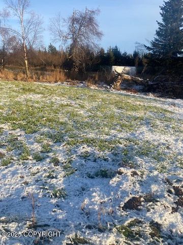 Lot 20 Shelby Kay, Homer, AK 99603