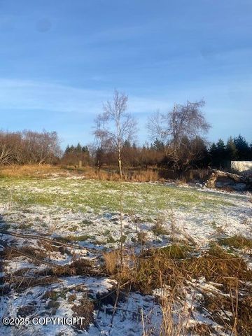 Lot 20 Shelby Kay, Homer, AK 99603