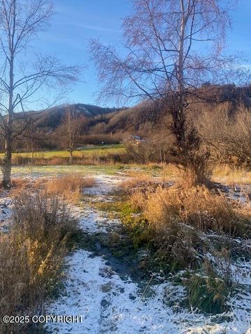 Lot 20 Shelby Kay, Homer, AK 99603