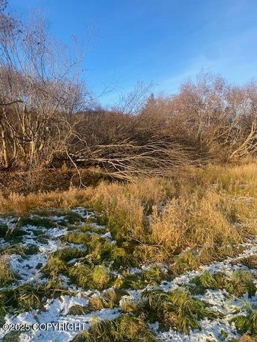Lot 20 Shelby Kay, Homer, AK 99603