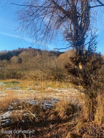Lot 20 Shelby Kay, Homer, AK 99603