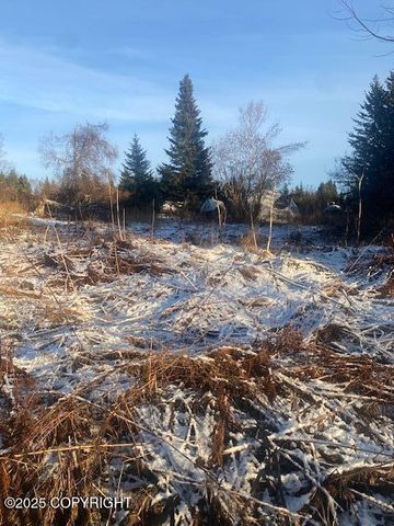 Lot 20 Shelby Kay, Homer, AK 99603