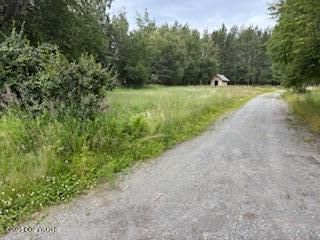 2265 E Grizzly Bear Drive, Wasilla, AK 99654