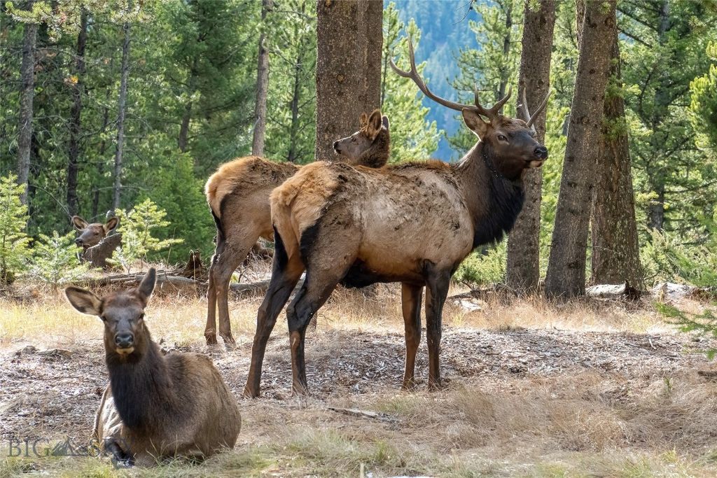 TBD Crown Butte, Lot 88, Big Sky, MT 59716 photo 8