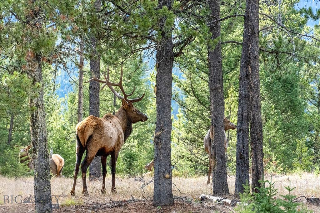 TBD Crown Butte, Lot 88, Big Sky, MT 59716 photo 9