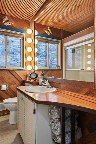 10 Birch Bluff Road, Tonka Bay, MN 55331