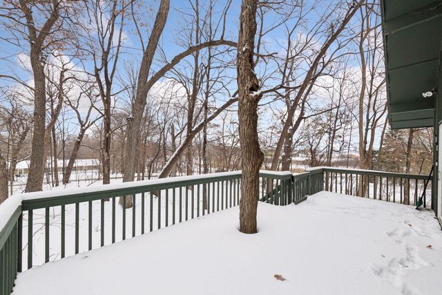 10 Birch Bluff Road, Tonka Bay, MN 55331