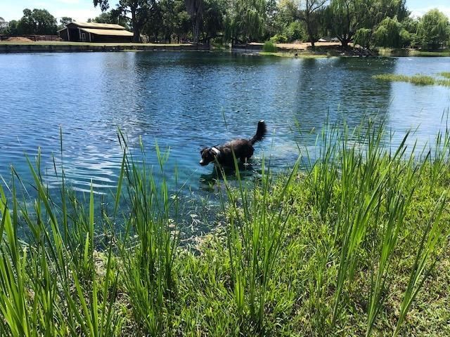 8720 Tavernor Rd, Wilton, CA 95693