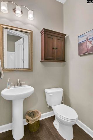 603 RIVERDALE Court, Chapin, SC 29036