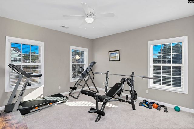 603 RIVERDALE Court, Chapin, SC 29036