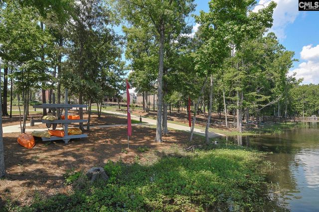 603 RIVERDALE Court, Chapin, SC 29036