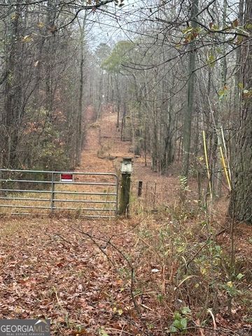 0 Winding Stream Trail, Hampton, GA 30228