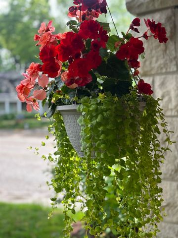 1228 CENTRAL AVE, Memphis, TN 38104