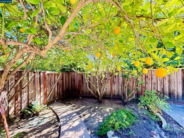 105 Camille Court, Alamo, CA 94507