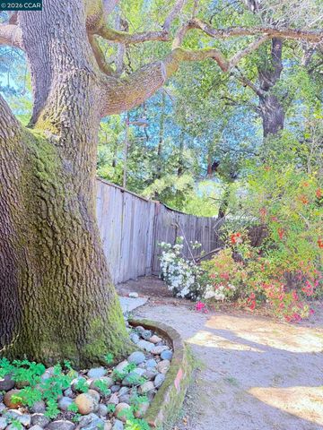 105 Camille Court, Alamo, CA 94507