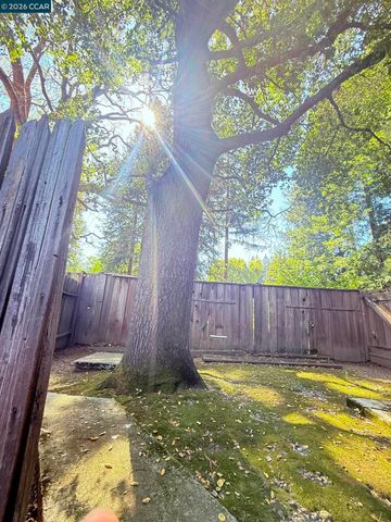 105 Camille Court, Alamo, CA 94507