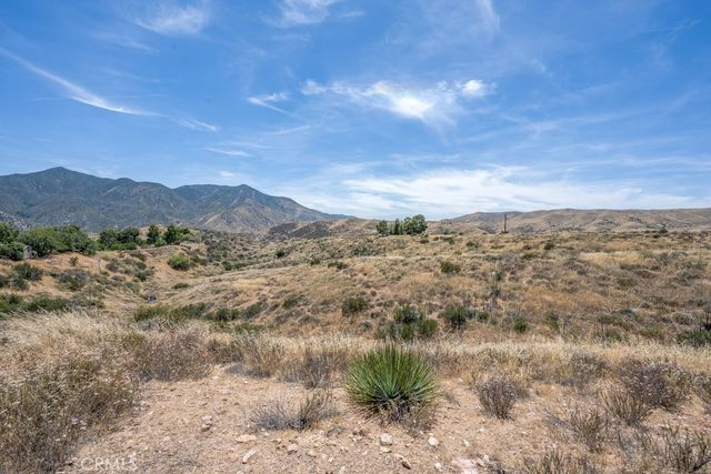 0 Briggs Road, Agua Dulce, CA 91350