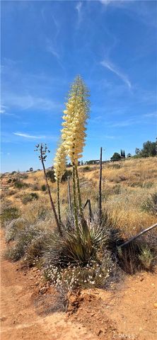 0 Briggs Road, Agua Dulce, CA 91350