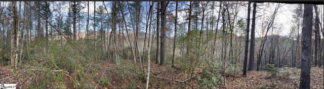 0000 Gap Creek Road Lot 2, Marietta, SC 29661