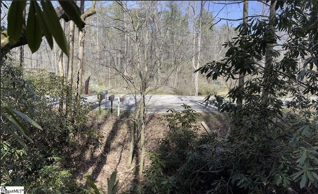 0000 Gap Creek Road Lot 2, Marietta, SC 29661