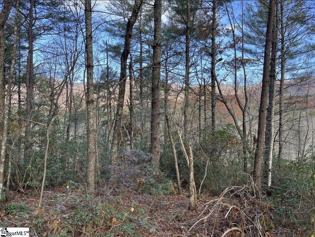 0000 Gap Creek Road Lot 2, Marietta, SC 29661