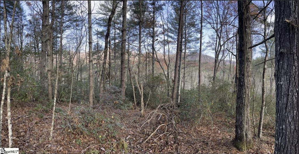 0000 Gap Creek Road Lot 2, Marietta, SC 29661