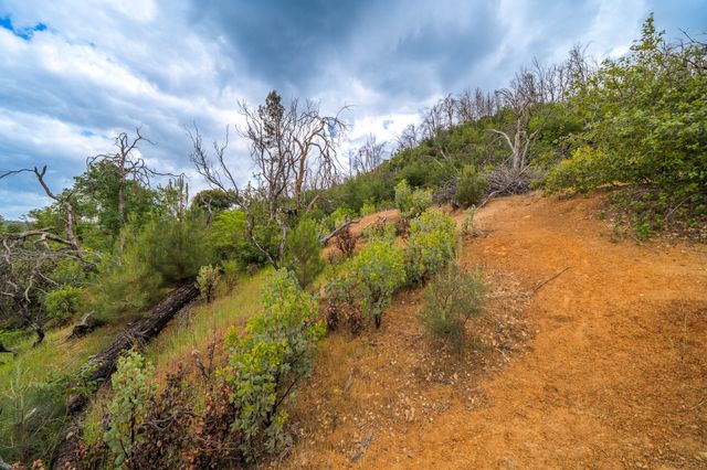 0 High Street, Shasta, CA 96087