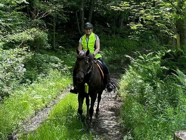 320 W Rowe Hill Road, West Windsor, VT 05037