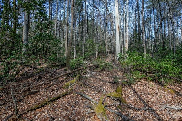 Lot 13 Deerlake Drive 13, Brevard, NC 28712