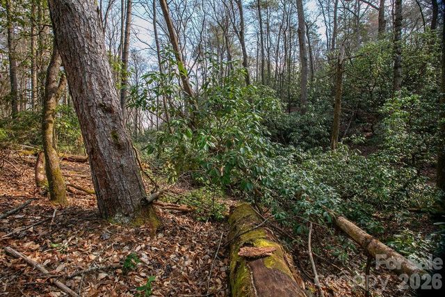 Lot 13 Deerlake Drive 13, Brevard, NC 28712