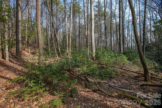 Lot 13 Deerlake Drive 13, Brevard, NC 28712