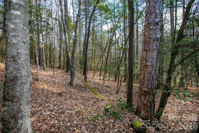 Lot 13 Deerlake Drive 13, Brevard, NC 28712