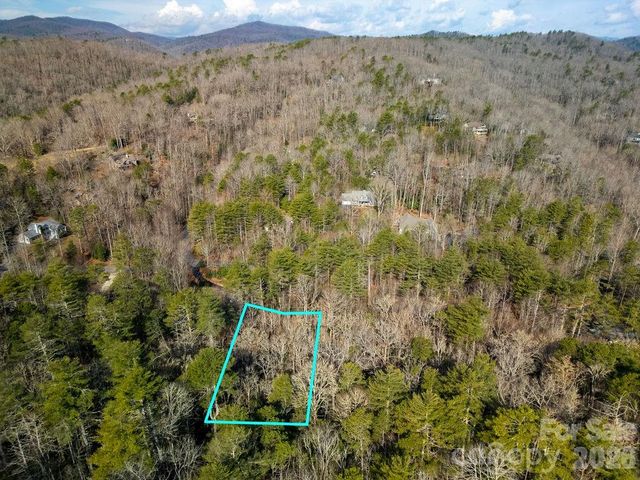 Lot 13 Deerlake Drive 13, Brevard, NC 28712