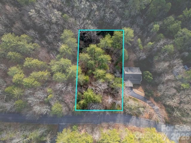 Lot 13 Deerlake Drive 13, Brevard, NC 28712