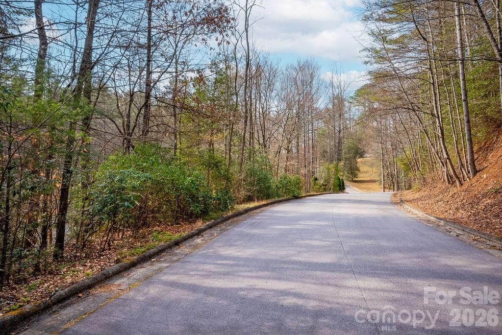 Lot 13 Deerlake Drive 13, Brevard, NC 28712