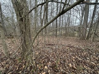 9 Ginger Drive, Dover, TN 37058