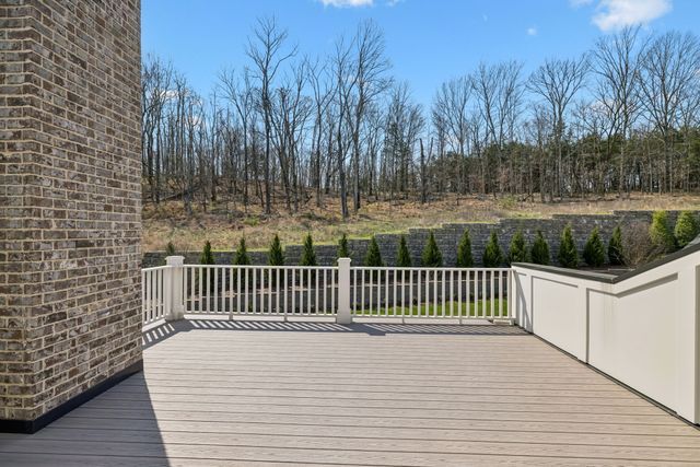 9289 Double Run Ct, College Grove, TN 37046