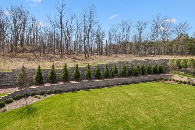 9289 Double Run Ct, College Grove, TN 37046