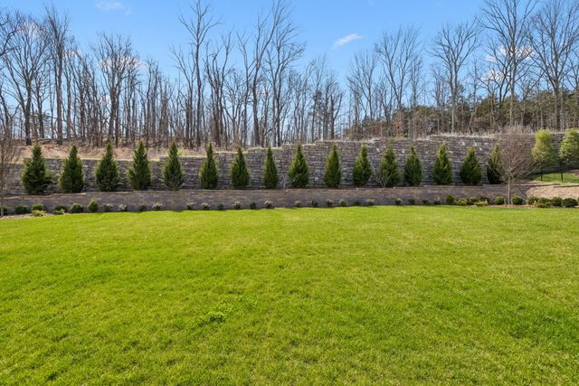 9289 Double Run Ct, College Grove, TN 37046