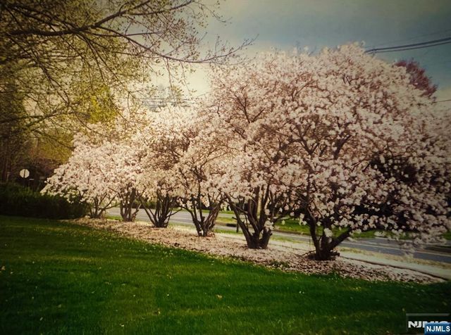 4 Highfield Court, Wayne, NJ 07470