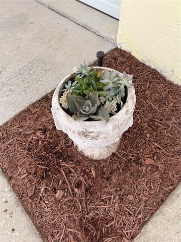 1176 W BUTTONBUSH DR, Beverly Hills, FL 34465