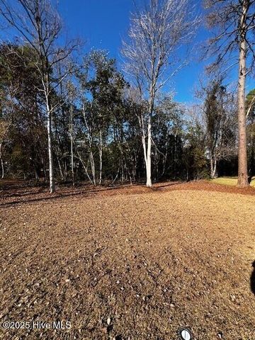 1301 Santa Lucia Drive, New Bern, NC 28560