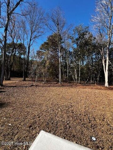 1301 Santa Lucia Drive, New Bern, NC 28560