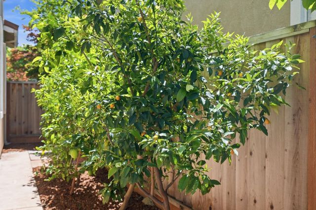 906 Windsor Hills Circle, San Jose, CA 95123